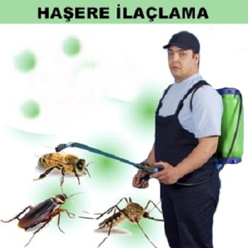 Şiran Böcek İlaçlama